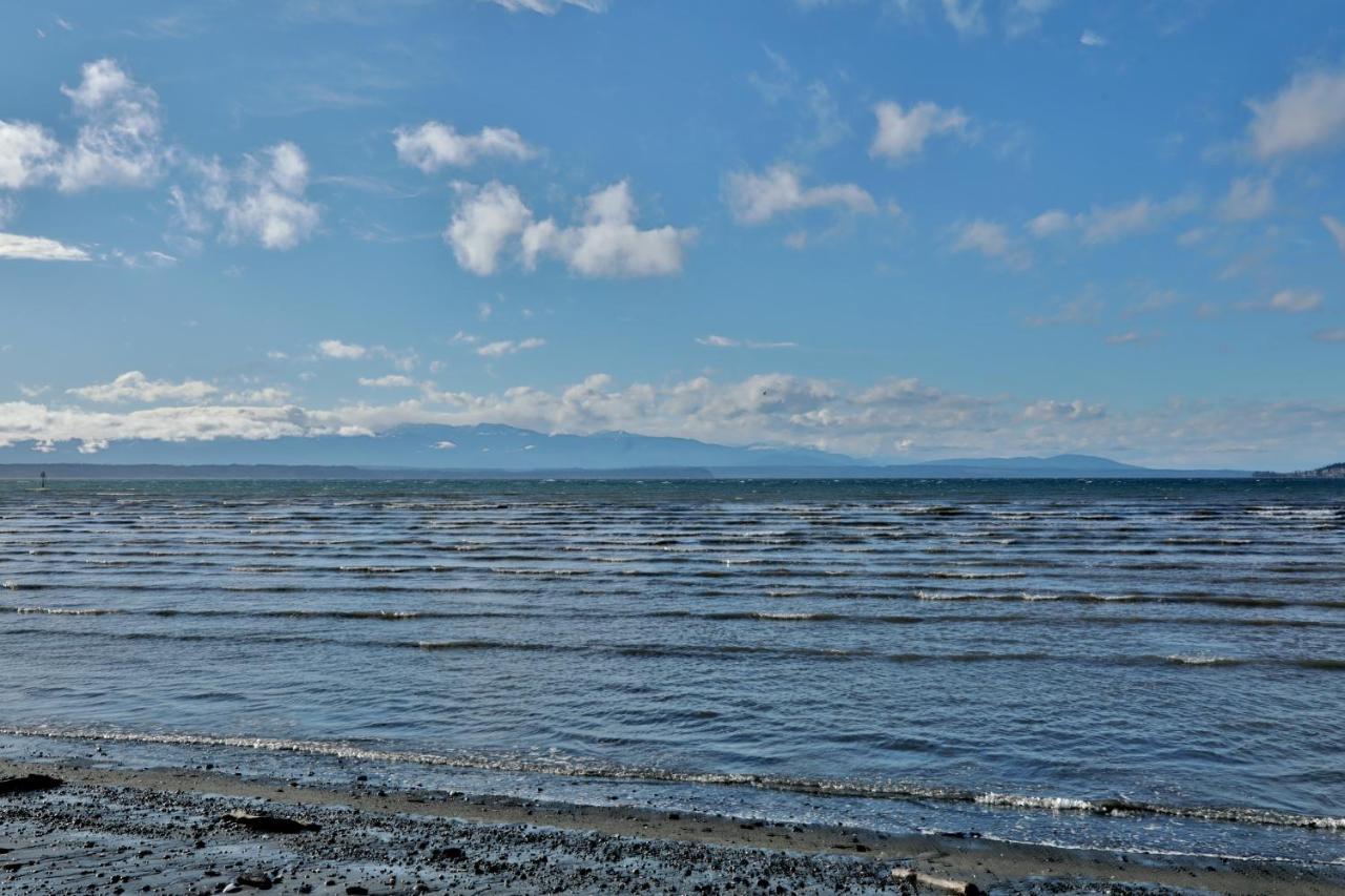 Maxwelton Beach Sunsets! Kayaks & Paddleboards! 1 Min Walk To The Water! Clinton Exteriör bild