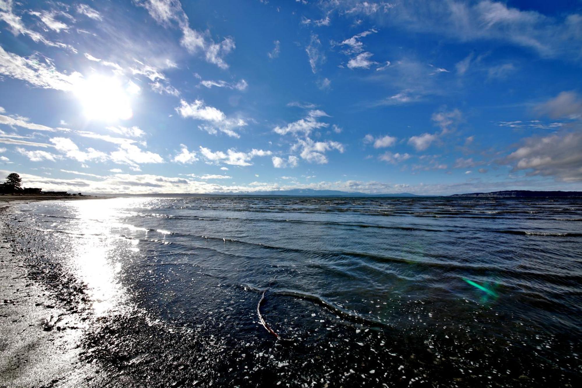 Maxwelton Beach Sunsets! Kayaks & Paddleboards! 1 Min Walk To The Water! Clinton Exteriör bild